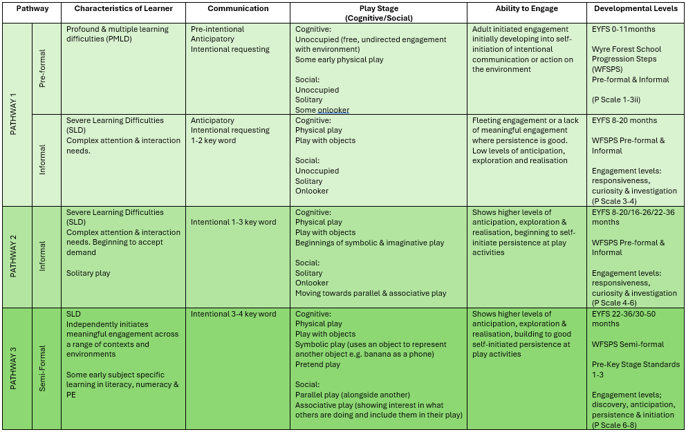 WFS Learner Characteristics Chart